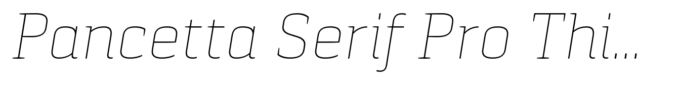 Pancetta Serif Pro Thin Italic